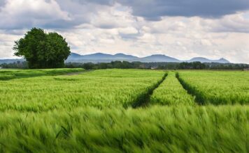 Ile trwa wymiana opon w samochodzie? Ile trwa wymiana opon w samochodzie?