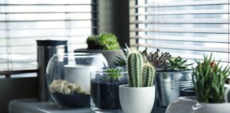 Gdzie garnki w kuchni?