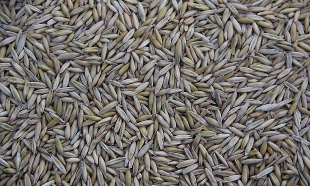 Kto produkuje sprzęt Kenwood?