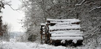 Jakim hakiem Wyrabiać kruche ciasto?