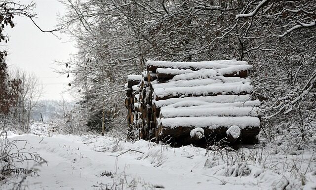 Jakim hakiem Wyrabiać kruche ciasto? Jakim hakiem Wyrabiać kruche ciasto?