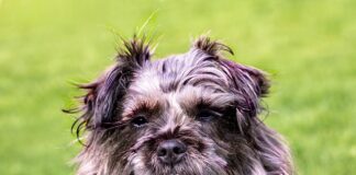 Ile kosztuje położenie paneli wraz z listwami?