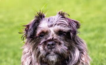 Ile kosztuje położenie paneli wraz z listwami?