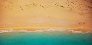 Co położyć pod panele żeby było ciepło?