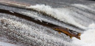 Ile prądu zużywa ogrzewanie folia grzewcza?