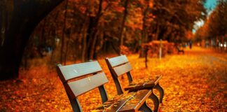 Co do siedzenia na mały balkon?