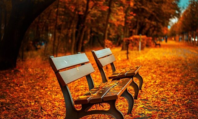 Co do siedzenia na mały balkon? Co do siedzenia na mały balkon?