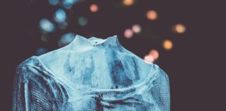 Jak uratować uszkodzone drzewo?