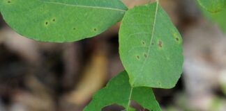 Co stuka na dziurach?