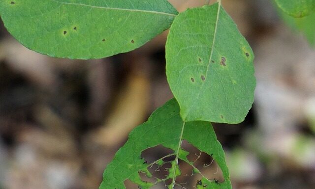 Co stuka na dziurach? Co stuka na dziurach?