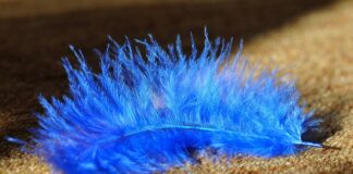 Co jest tańsze wykładzina czy panele?