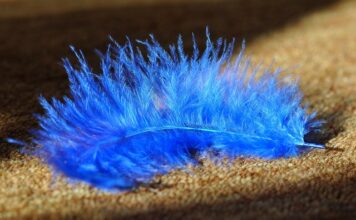 Co jest tańsze wykładzina czy panele? Co jest tańsze wykładzina czy panele?