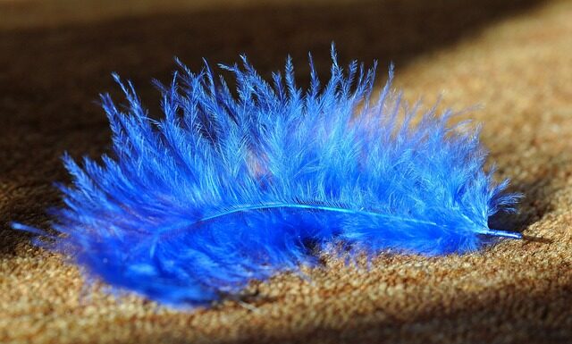 Co jest tańsze wykładzina czy panele?