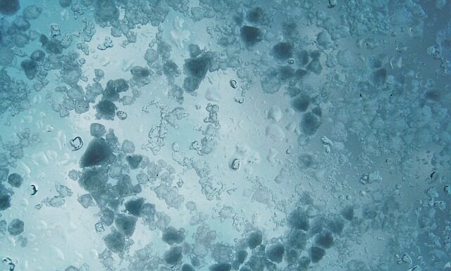 Co oznacza 4 na szybie samochodu? Co oznacza 4 na szybie samochodu?