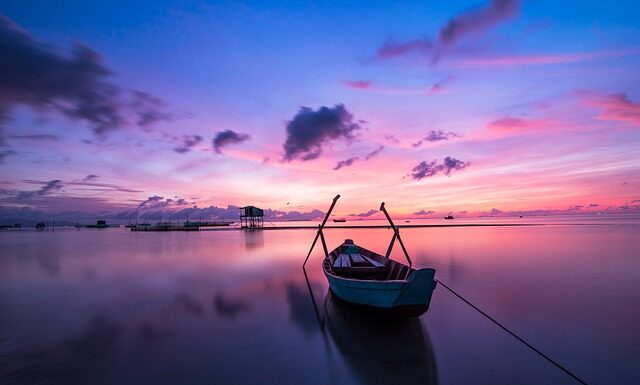 Jak zachować kolor mchu? Jak zachować kolor mchu?