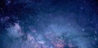 Dlaczego niebieskie palety?