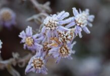 Czym czyścić matowe fronty szafek kuchennych?