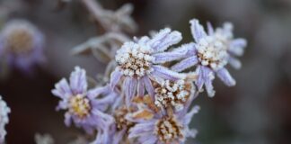 Czym czyścić matowe fronty szafek kuchennych?