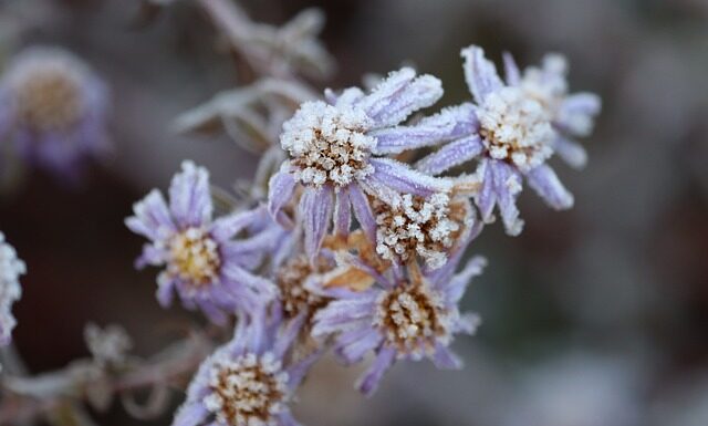 Czym czyścić matowe fronty szafek kuchennych? Czym czyścić matowe fronty szafek kuchennych?