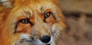 Jak sprawdzić czy 1 2 czy 3 8?