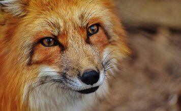 Jak sprawdzić czy 1 2 czy 3 8?