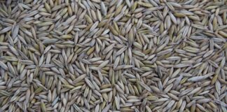 Kto produkuje materace dla IKEA?