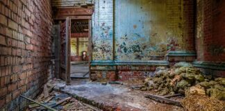 Kiedy powinno się bielić drzewka?