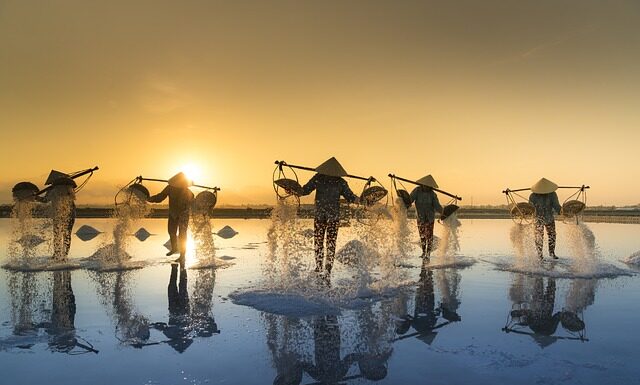 Czy sól niszczy korzenie? Czy sól niszczy korzenie?