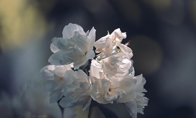 Kiedy białe listwy przypodłogowe? Kiedy białe listwy przypodłogowe?