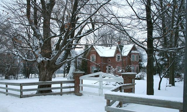 Linoleum – praktyczny i estetyczny przeżytek