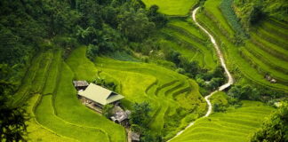 Jaka izolacja pod matę grzewczą?