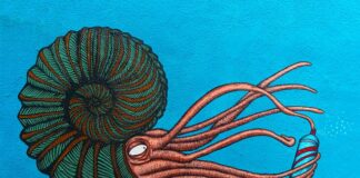 Czy syfon jest potrzebny?