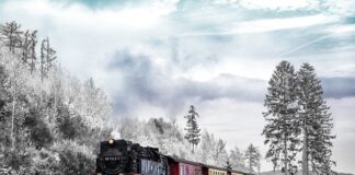 Ile kosztuje transport mebli Black Red White?