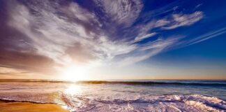 Co oznacza pianka T25?