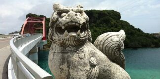 Czy warto kupić meble z Ikei?