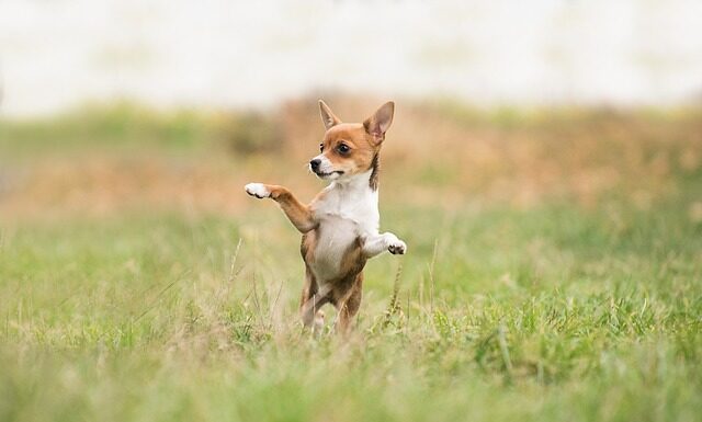 Co to znaczy że samochód jest hybrydowy? Co to znaczy że samochód jest hybrydowy?