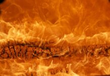 Co to za marka Kenwood? Co to za marka Kenwood?