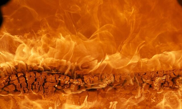 Co to za marka Kenwood?