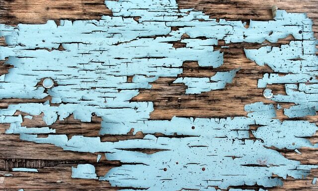 Dlaczego pęka kora drzew owocowych? Dlaczego pęka kora drzew owocowych?