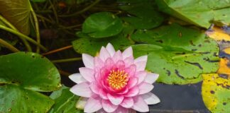 Po co stosuje się podkładki pod śruby?