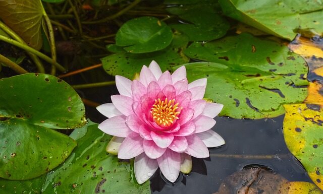 Po co stosuje się podkładki pod śruby?