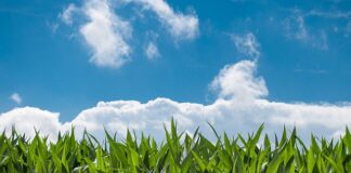 Jak przyciąć listwę pod kątem 45 stopni?