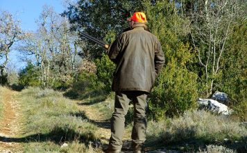 Profesjonalne militaria