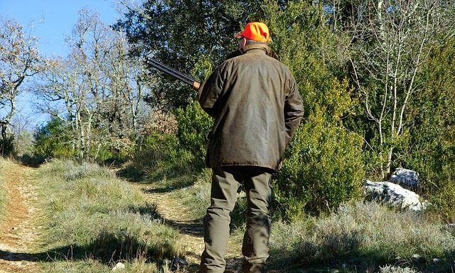 Profesjonalne militaria