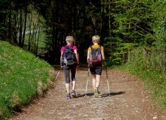 Nordic walking – ile spalimy kalorii uprawiając go? nordic walking