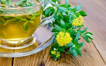 Dlaczego warto zainteresować się roślinami adaptogennymi? różeniec górski