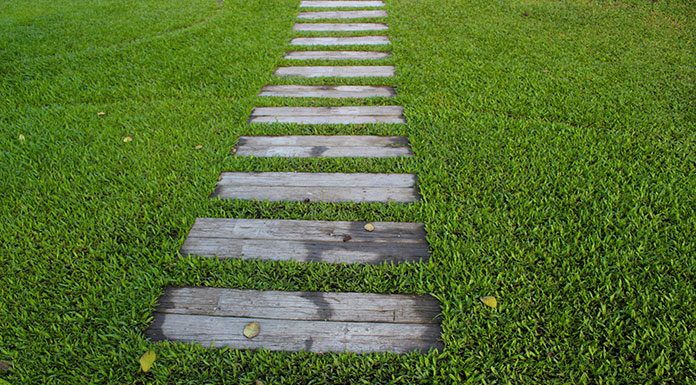 Jaki nawóz na trawnik?